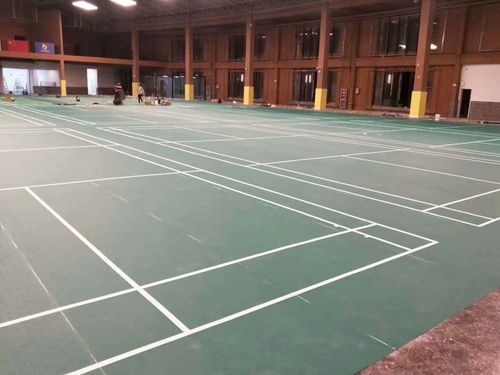 郫縣PVC塑膠運動地膠IN 網(wǎng)球地膠